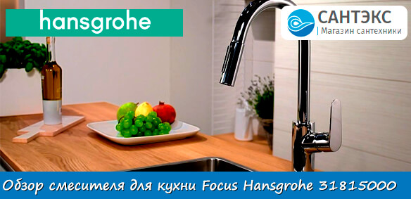 Обзор смесителя для кухни Focus Hansgrohe 31815000