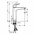 Фотография товара Hansgrohe Focus   31608000