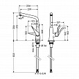 Фотография товара Hansgrohe Metris 320 73814000