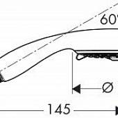 Ручной душ  Hansgrohe Raindance 28502000