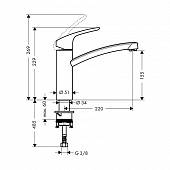 Смеситель для кухни, хром, Hansgrohe Focus 31816000