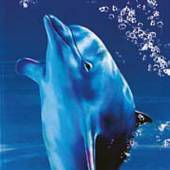Тумба под раковину 90 см, синий, Misty Дельфин 90 П-Дел01090-221Пр