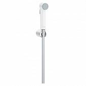 Гигиенический душ Grohe Tempesta-F 27812IL1