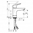 Фотография товара Hansgrohe Focus   31513000