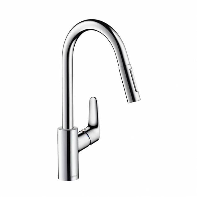 Фотография товара Hansgrohe Focus   31815000