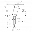 Фотография товара Hansgrohe Focus   31604000